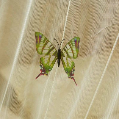 Mosquito Net 6x6 with Stand